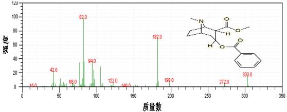 db真人旗舰