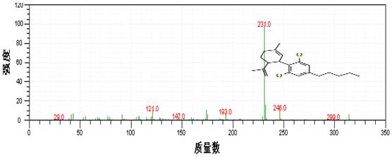 db真人旗舰