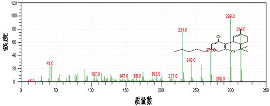 db真人旗舰