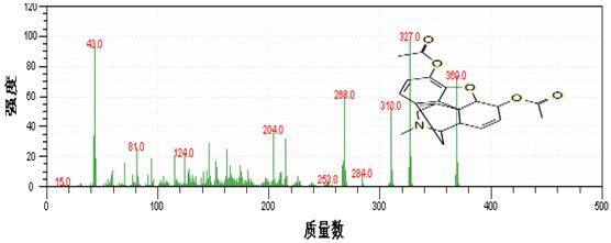db真人旗舰
